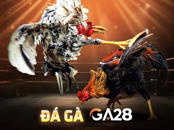 TX88 Đá Gà GA28