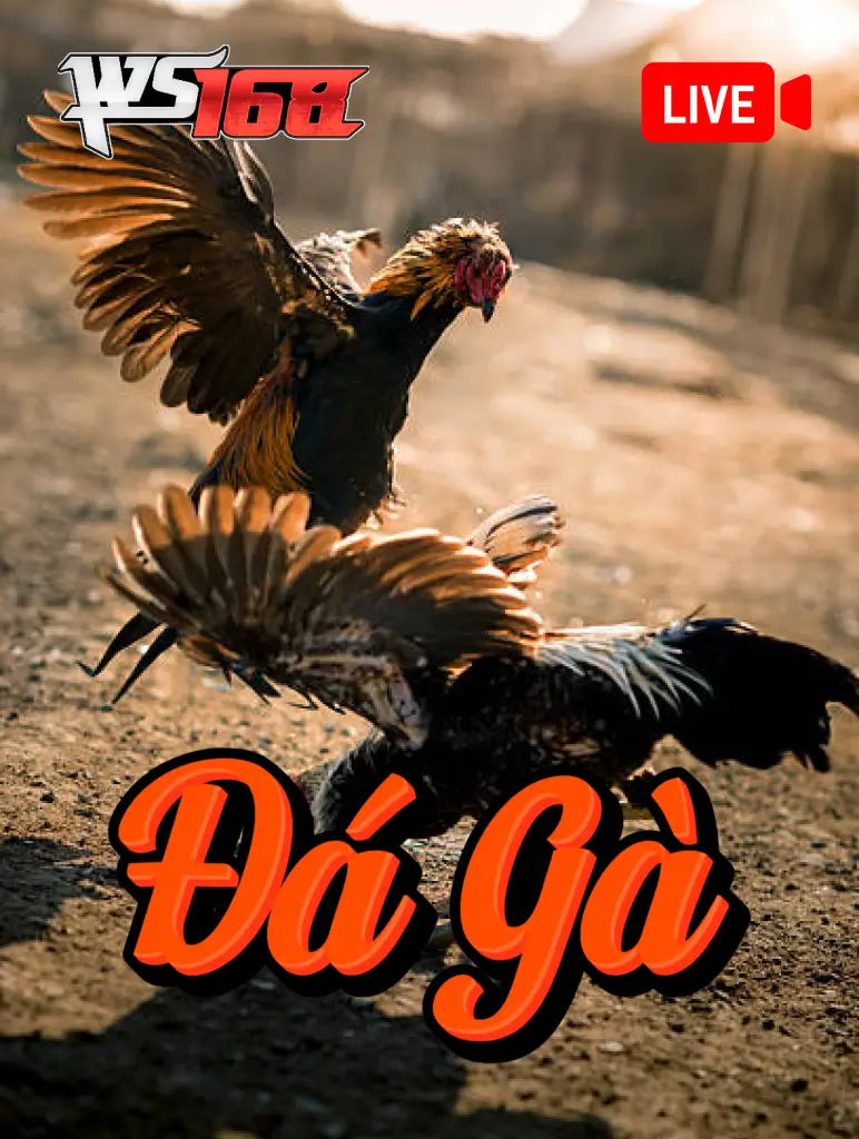 Đá Gà WS168 TX88