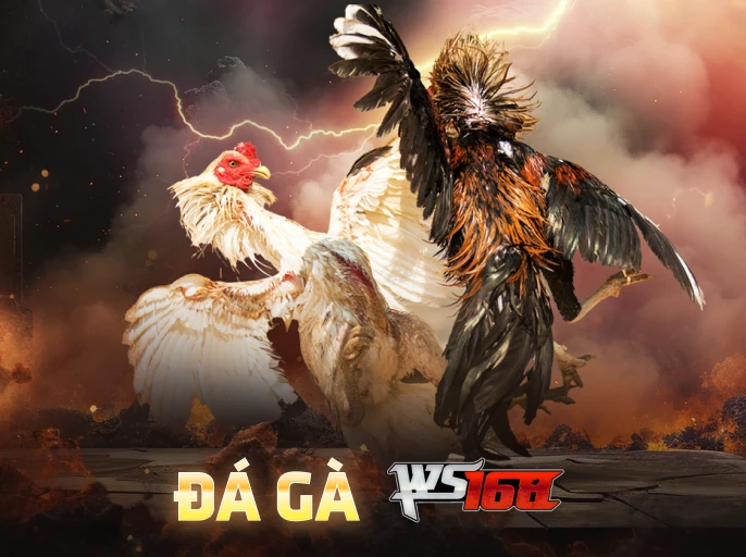 TX88 Đá Gà WS168