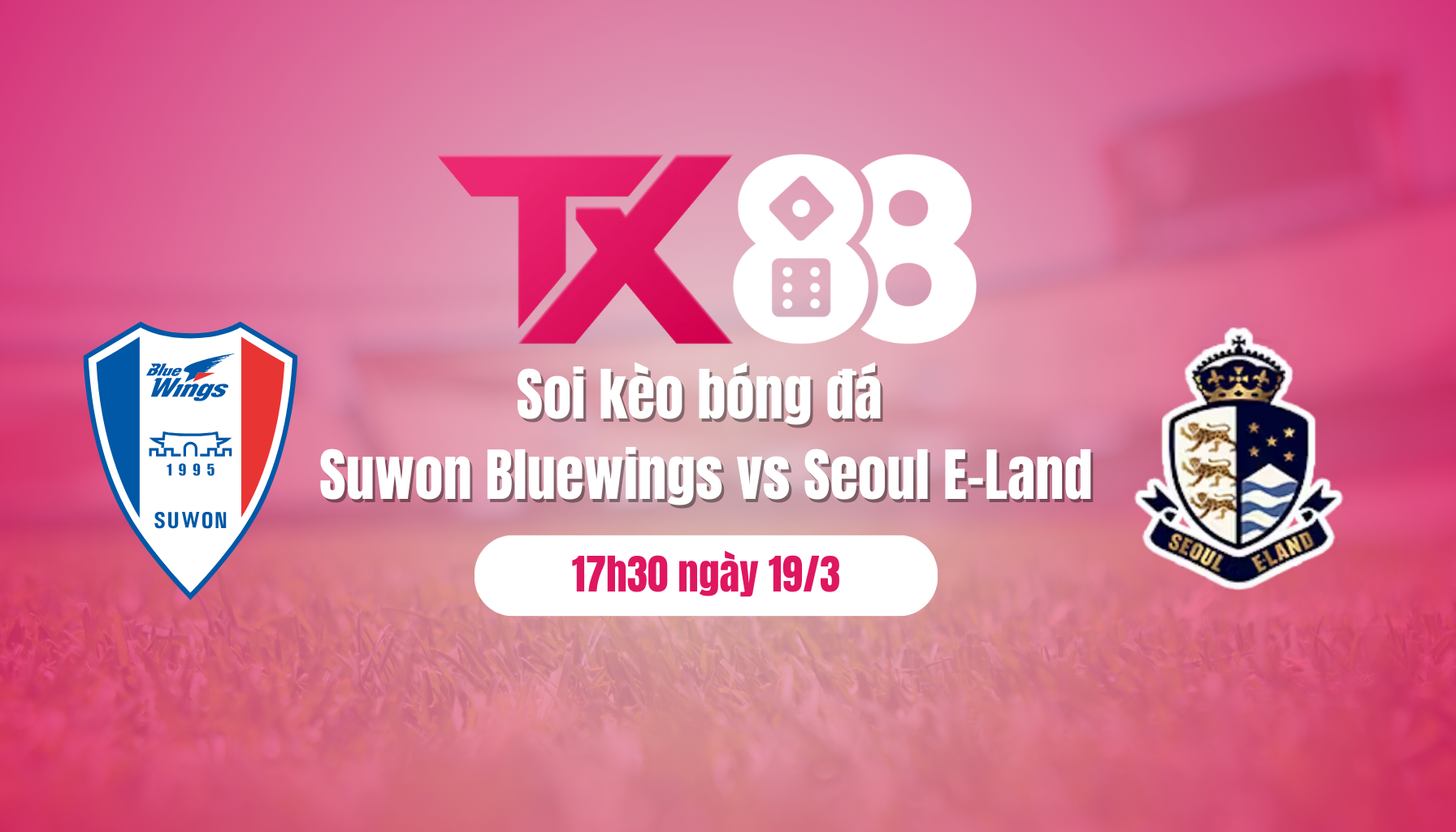 Soi kèo bóng đá Suwon Bluewings vs Seoul E-Land, 17h30 ngày 19/3: Vé đi tiếp cho khách TX88
