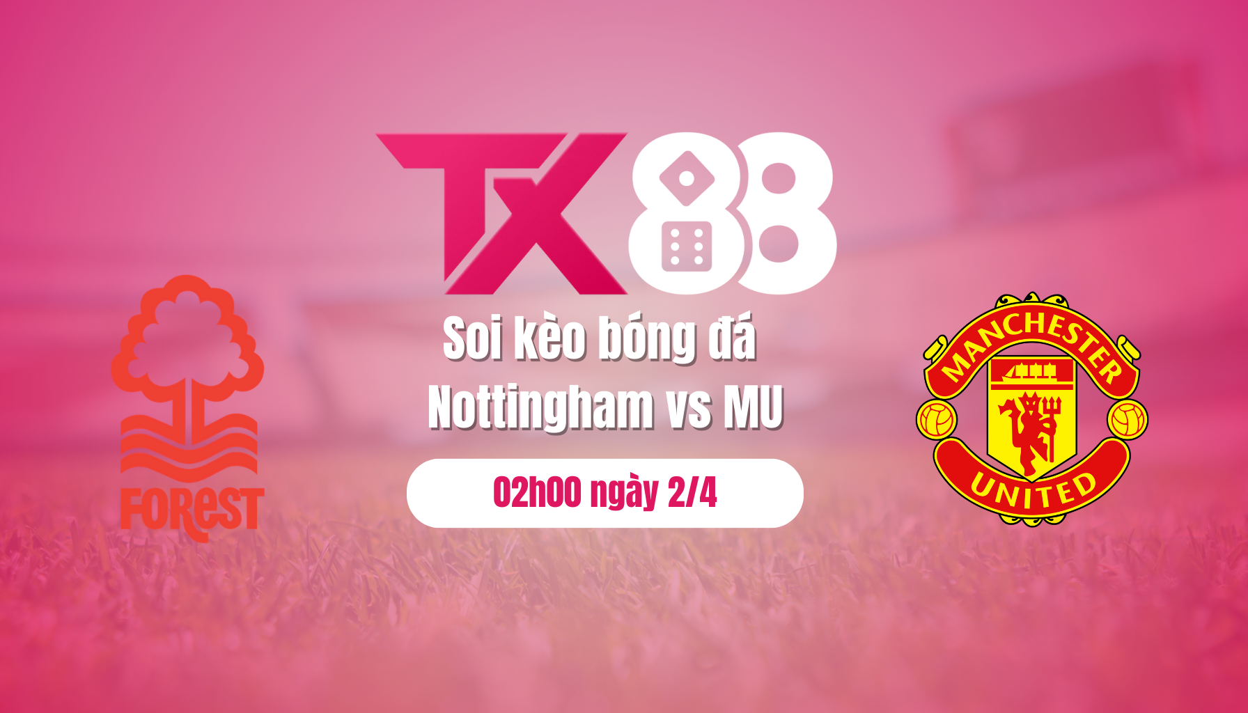 Soi kèo bóng đá Nottingham vs MU, 02h00 ngày 2/4: Màn trả thù ngọt ngào TX88