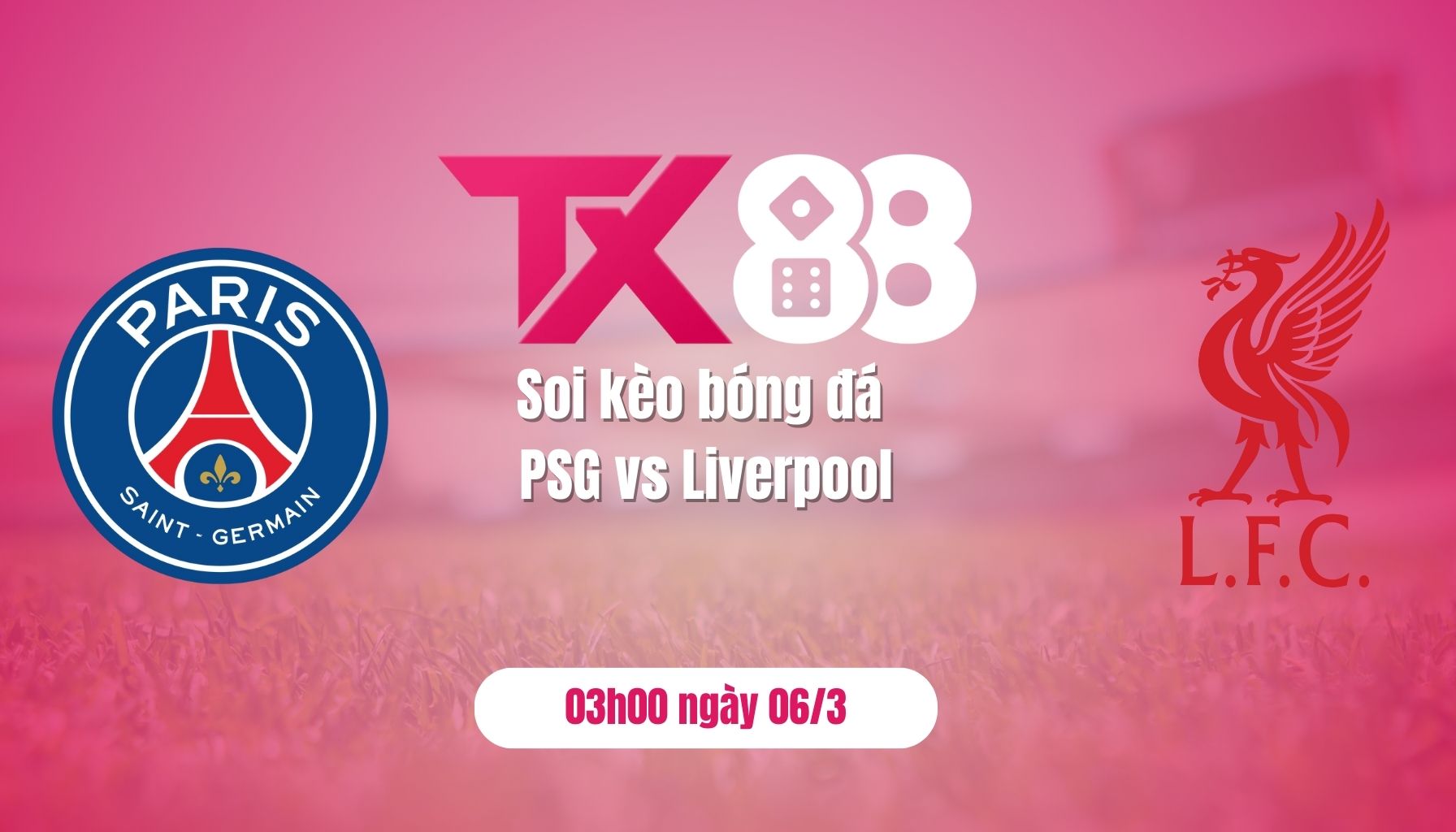 Soi kèo bóng đá PSG vs Liverpool, 03h00 ngày 6/3: Không dễ cho chủ nhà TX88