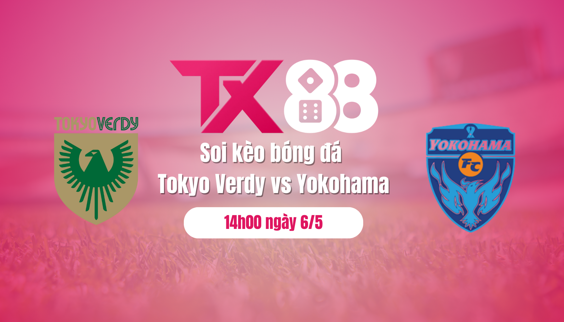 Soi kèo bóng đá Tokyo Verdy vs Yokohama, 14h00 ngày 6/5: Giữ lại 3 điểm TX88