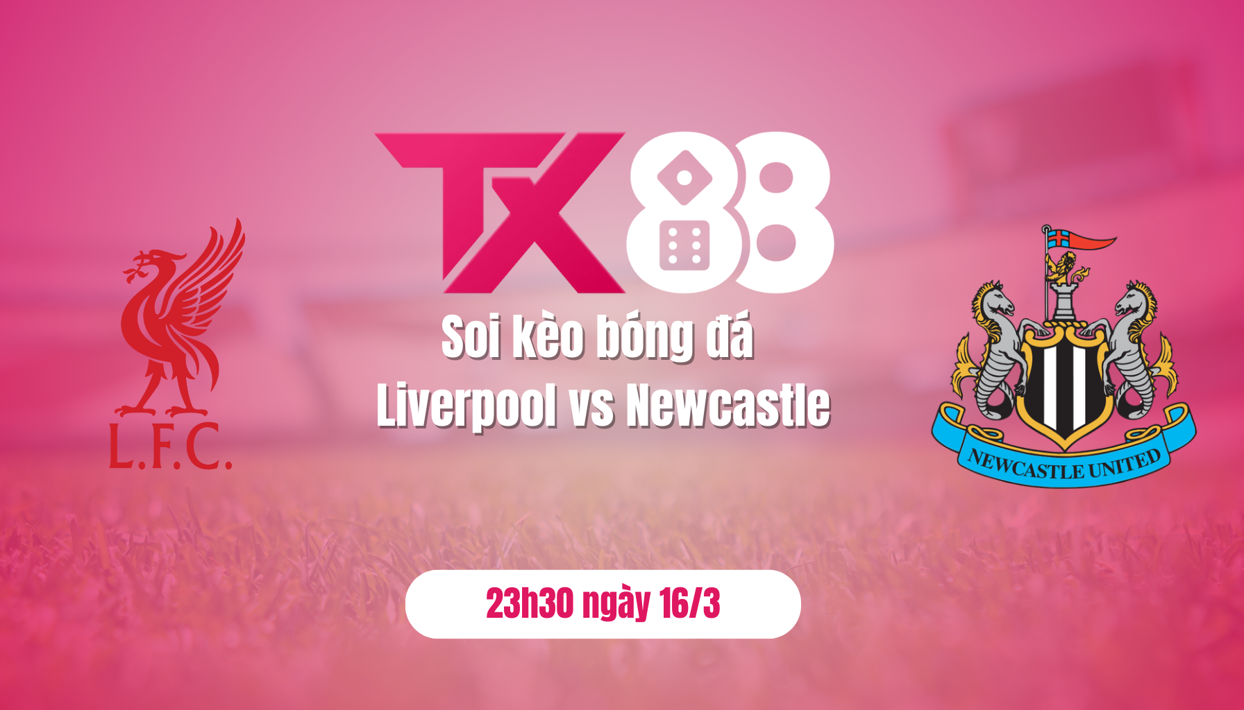 Soi kèo bóng đá Liverpool vs Newcastle, 23h30 ngày 16/3: Chớ coi thường Chích chòe! TX88