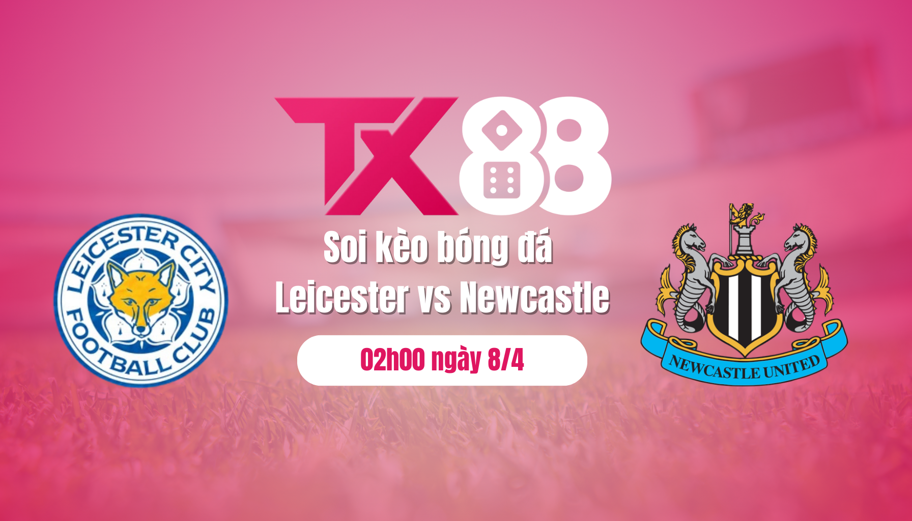 Soi kèo bóng đá Leicester vs Newcastle, 02h00 ngày 8/4: Chích chòe bắt cáo TX88
