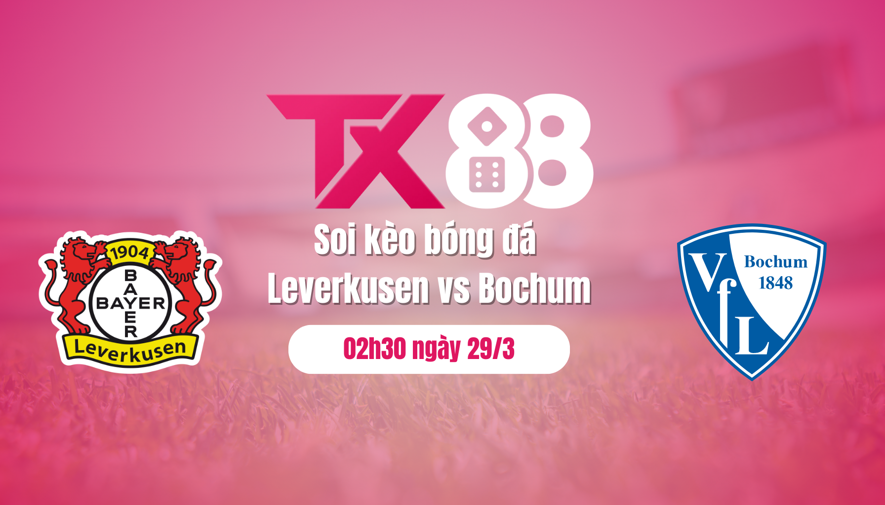 Soi kèo bóng đá Leverkusen vs Bochum, 02h30 ngày 29/3: Thắng là mệnh lệnh TX88
